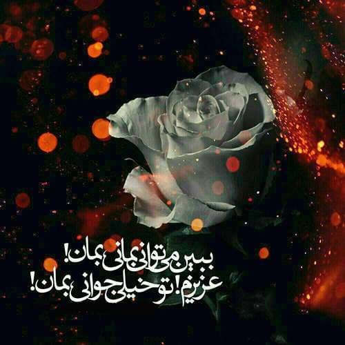 عکس پروفایل شهادت حضرت زهرا سلام الله علیها