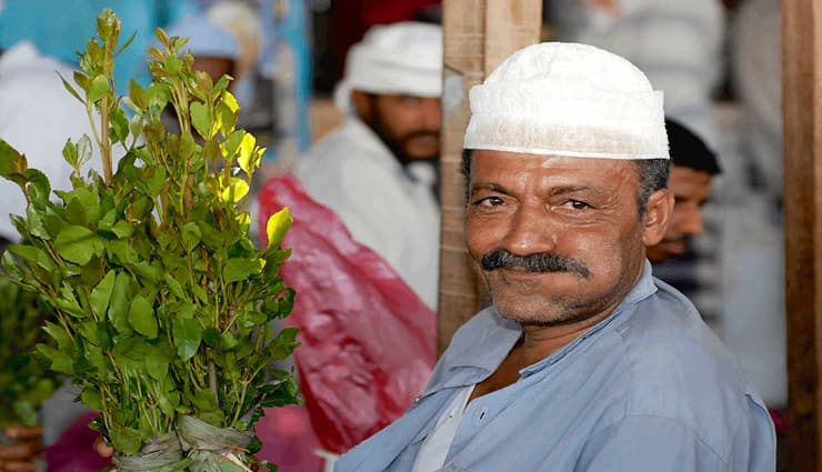 مردی در حال مصرف قات در سومالی و یمن