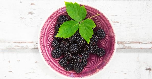 میوه های بنفش- تمشک سیاه (Blackberry)