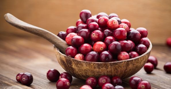 میوه های زمستانی Cranberries