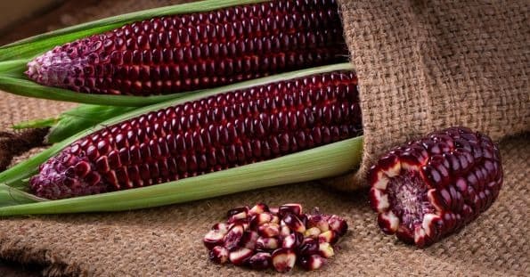 میوه های بنفش- ذرت بنفش (Purple Corn)