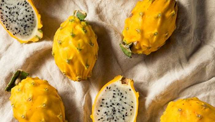 میوه های خاردار- میوه اژدها زرد (Yellow Dragon Fruit)