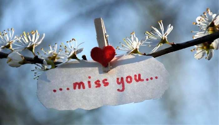 متن و پیام دلم برات تنگ شده i miss you