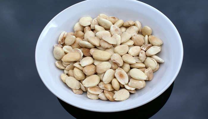 انواع مغزهای خوراکی- بادام مارکونا (Marcona Almond)