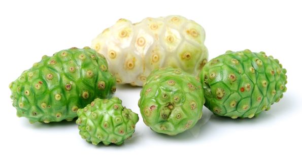 میوه های سبز رنگ- توت هندی (Noni)