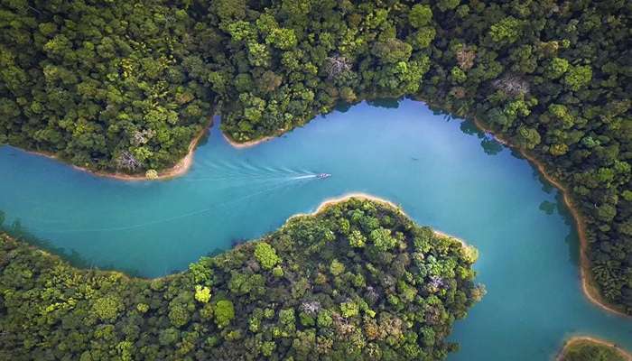 نمای پرنده از Surat Thani هنگام پرواز در صبح.